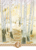 Хозяйка тайги. Сказки сибирских лесов — фото, картинка — 9