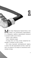 Детективы-футболисты. Загадка спящих арбитров — фото, картинка — 6