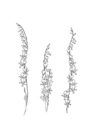 Целься в сердце — фото, картинка — 2