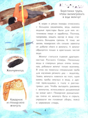 Поморы. Покорители северных морей — фото, картинка — 3