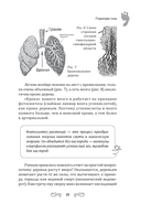 Повернуть время вспять. Система Осьмионика для нижней части лица и шеи — фото, картинка — 12