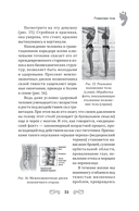 Повернуть время вспять. Система Осьмионика для нижней части лица и шеи — фото, картинка — 16