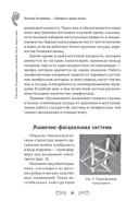 Повернуть время вспять. Система Осьмионика для нижней части лица и шеи — фото, картинка — 9