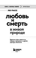 Любовь и смерть в живой природе. Брачные игры животных, обряды прощания и другие причуды биологии — фото, картинка — 1