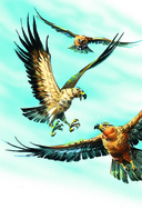 Огненный бог Марранов — фото, картинка — 12