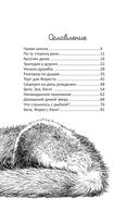 Бегущие по кромке леса — фото, картинка — 11