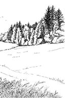 Бегущие по кромке леса — фото, картинка — 3