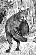 Бегущие по кромке леса — фото, картинка — 4