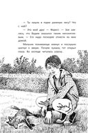 Бегущие по кромке леса — фото, картинка — 8