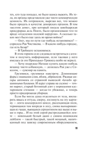 Пир на закате солнца — фото, картинка — 19