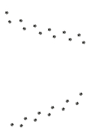 Собаки книжного магазина на краю света — фото, картинка — 18