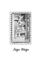 Собаки книжного магазина на краю света — фото, картинка — 19