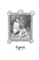 Собаки книжного магазина на краю света — фото, картинка — 7