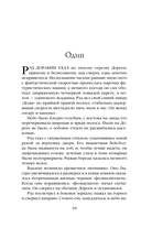 Дорожные знаки. Глаз кота — фото, картинка — 16