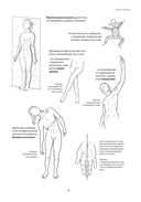 Анатомия движения: человеческое тело — фото, картинка — 5