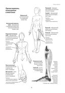 Анатомия движения: человеческое тело — фото, картинка — 7