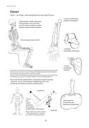 Анатомия движения: человеческое тело — фото, картинка — 8