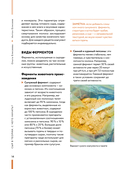 Домашний сыр. Пошаговая книга-курс от новичка до мастера — фото, картинка — 13