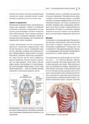 Функциональная анатомия йоги: пособие для практикующих и наставников — фото, картинка — 16