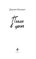 Пламя в цепях — фото, картинка — 3