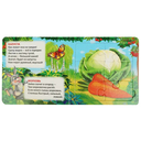 Овощи и фрукты — фото, картинка — 2