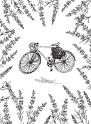 Коттедж в Провансе — фото, картинка — 4