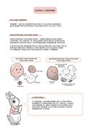 Кровные узы — фото, картинка — 14