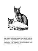 Кошка. Полное руководство по воспитанию и уходу — фото, картинка — 5
