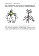 Цифровые приключения. Как программируют компьютеры — фото, картинка — 9