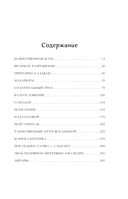 Говорящий с дождем. Чудеса и истории исцеления Ом Свами — фото, картинка — 7