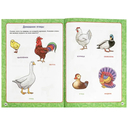 Годовой курс занятий. 3-4 года — фото, картинка — 2