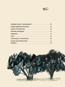 Лидочка. Перрон встреч и прощаний — фото, картинка — 2