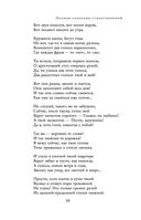 Полное собрание стихотворений в одном томе — фото, картинка — 64