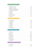 Магистр собачьих наук — фото, картинка — 4