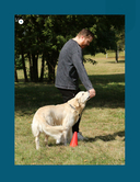 Магистр собачьих наук — фото, картинка — 13