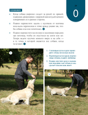 Магистр собачьих наук — фото, картинка — 11