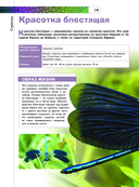 Насекомые — фото, картинка — 14