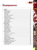 Насекомые — фото, картинка — 5