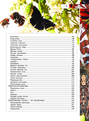 Насекомые — фото, картинка — 7