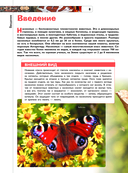 Насекомые — фото, картинка — 8