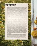 Счастье творчества. Книга о романтике загородной жизни, рукодельных вечерах и единении с природой — фото, картинка — 11