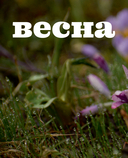 Счастье творчества. Книга о романтике загородной жизни, рукодельных вечерах и единении с природой — фото, картинка — 13