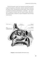 Дышите носом: Что нужно знать о самых распространенных болезнях носа и современных методах лечения — фото, картинка — 18