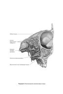 Дышите носом: Что нужно знать о самых распространенных болезнях носа и современных методах лечения — фото, картинка — 20
