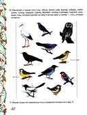 Домашняя тетрадь 7 для закрепления произношения звука 