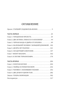 Бедная Лиза — фото, картинка — 1