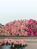 Садовые розы. Полное руководство по выращиванию, уходу и созданию потрясающих букетов — фото, картинка — 2