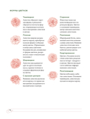 Садовые розы. Полное руководство по выращиванию, уходу и созданию потрясающих букетов — фото, картинка — 13