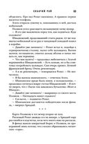 Собачий рай — фото, картинка — 62