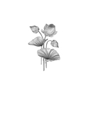 Мой генерал — фото, картинка — 1